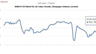 Le lait Spot remonte à 300 € à l’est, 290 € sur l’Ouest ( Source : l’Observatoire de l’Eleveur laitier) Le lait Spot remonte à 300 € à l’est, 290 € sur l’Ouest ( Source : l’Observatoire de l’Eleveur laitier)